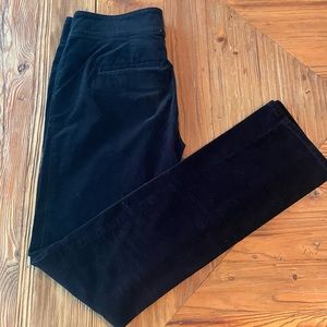Ann Taylor Velvet/Cotton/Spandex Straight Cut Pants